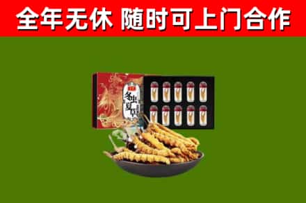 瀍河区烟酒回收冬虫夏草礼盒.jpg